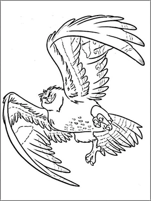 Falcon Maui Coloring Page