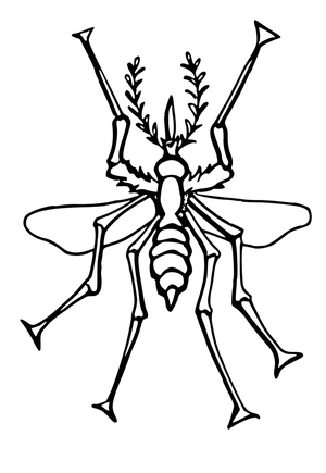 Download Free Mosquito Coloring Page