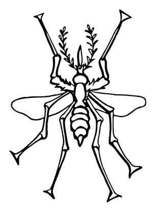 Download Free Mosquito Coloring Page Coloring Page