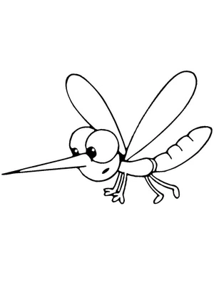 Mosquito Coloring Page 1 Coloring Page
