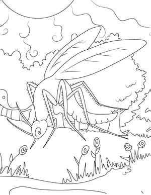 Mosquito Delight Coloring Page