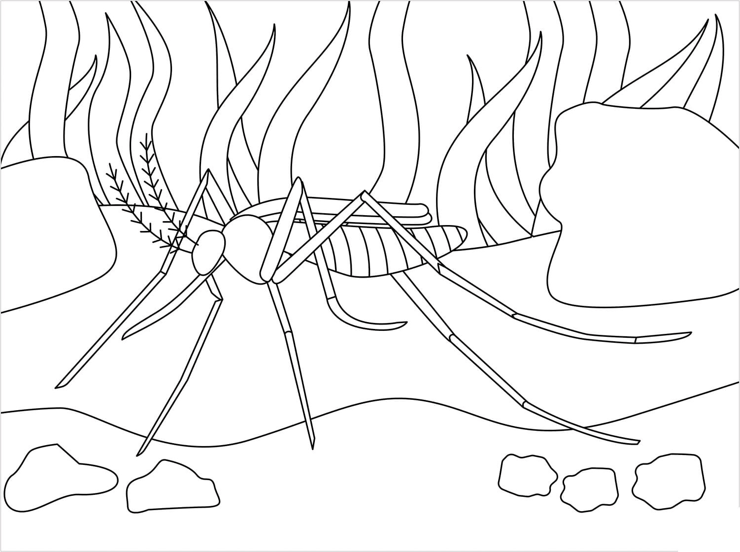 Mosquito Number 3 Coloring Page