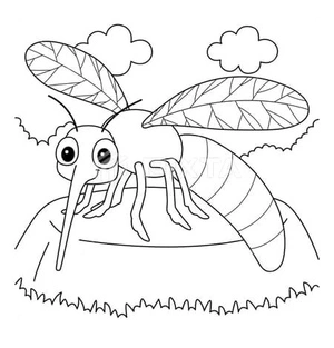 Simple Mosquito Coloring Page