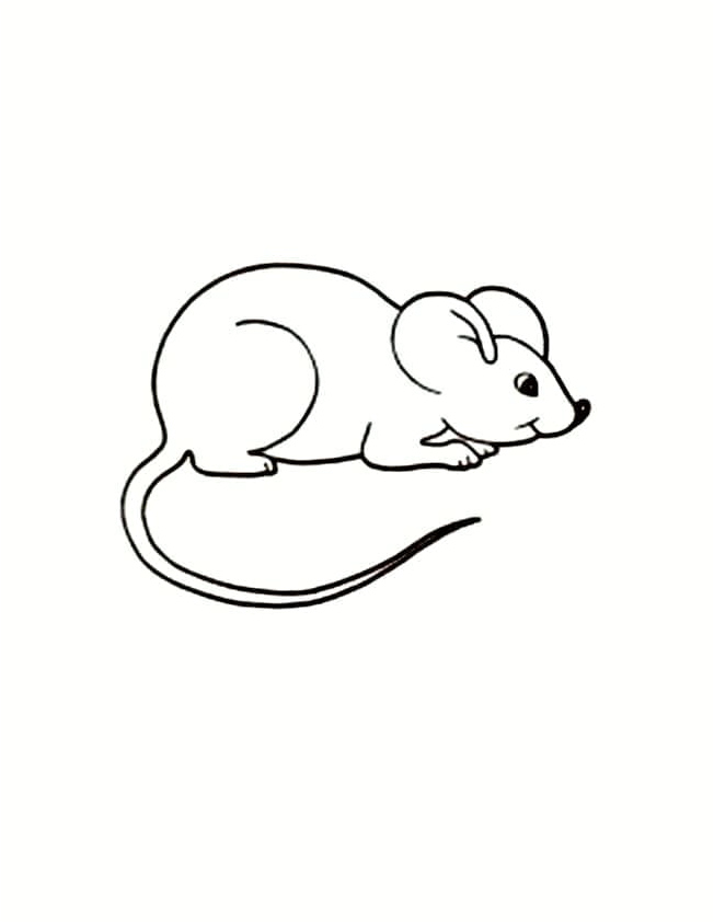 Tiny Rodent Coloring Page