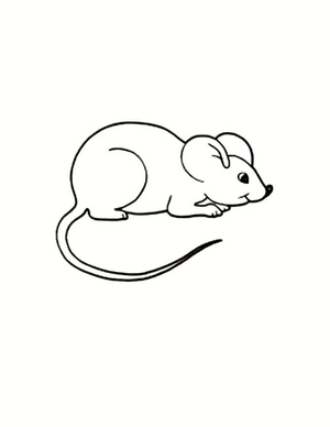Tiny Rodent