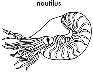 A Shellfish