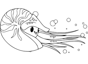 Adorable Seashell Pattern