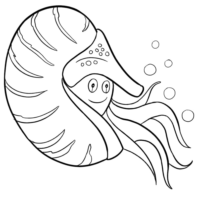 Nautilus Cartoon Coloring Page