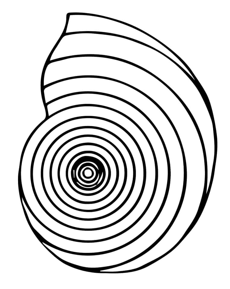 Shell of the Nautilus Coloring Page
