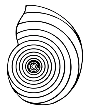 Shell of the Nautilus Coloring Page