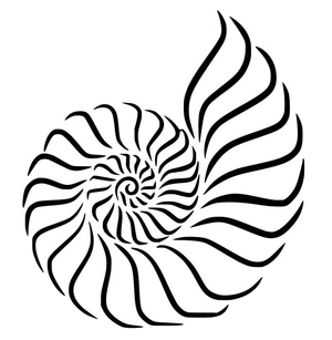 Simple Nautilus Shell