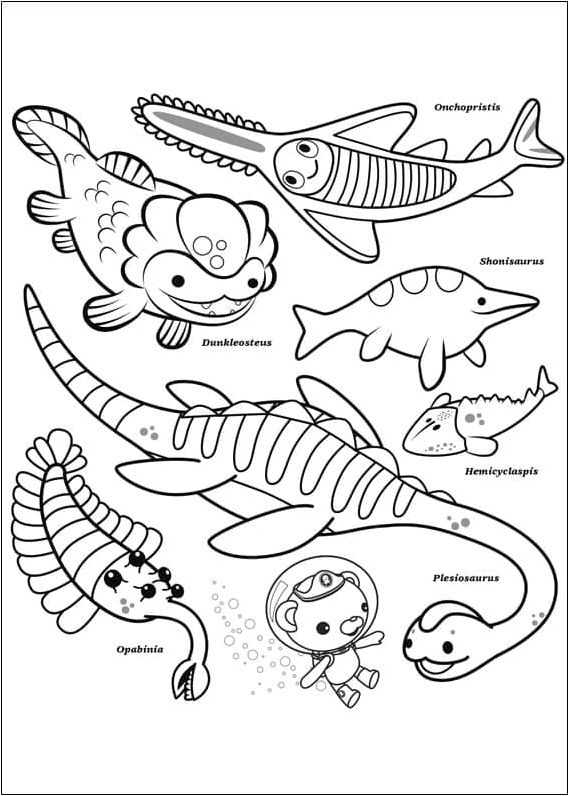 Coloring Pages for Kids: Octonauts Coloring Page