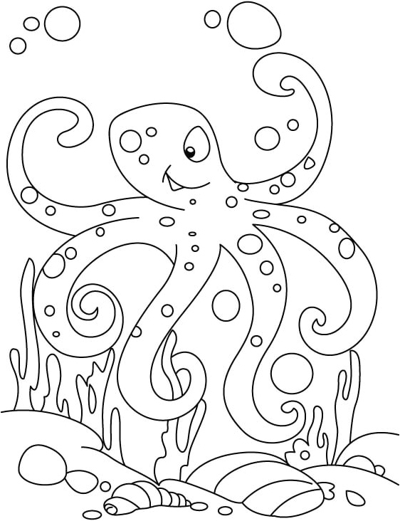 Free Download Octopus Coloring Page Coloring Page