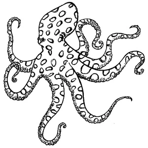 Incredible Octopus Coloring Page