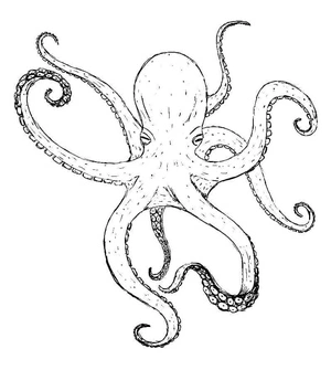 Octopus Adventure Coloring Page