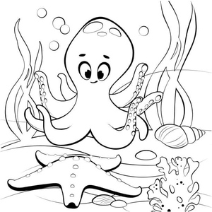 Octopus