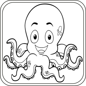 Octopus Fun and Beautiful