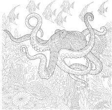 Octopus Zentangle Coloring Page