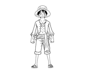 Luffy's Favorite Picture