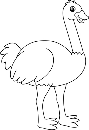 Exciting Ostrich