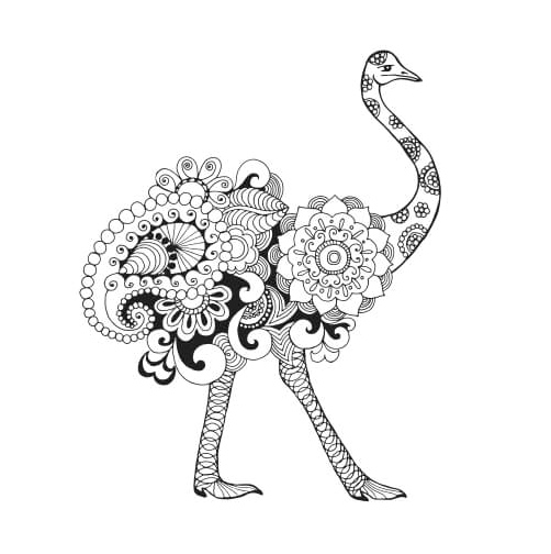 Mandala featuring an Ostrich Coloring Page