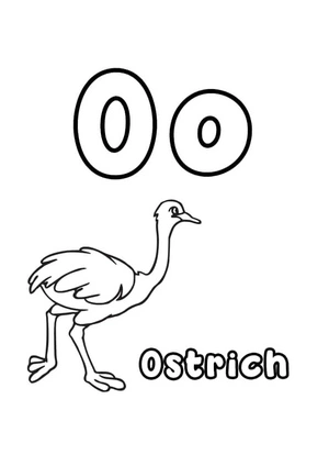 "Ostrich and the Letter O Coloring Page" Coloring Page