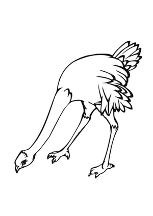 Ostrich Feasting