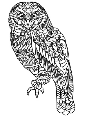 Adult Owl Coloring Page