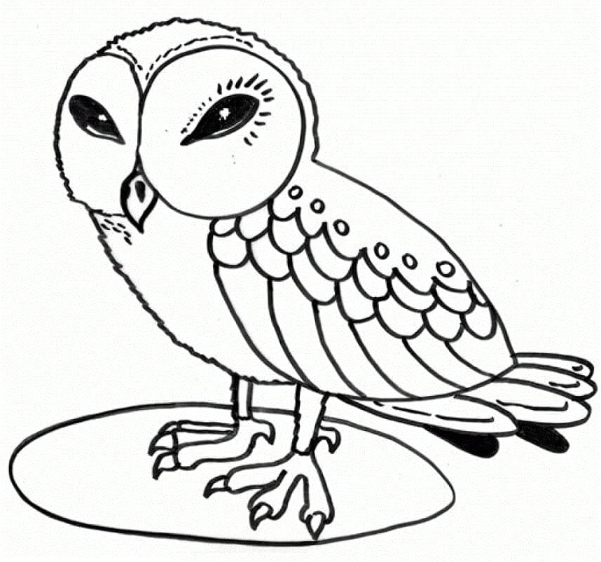 Coloring Page with an Owl Design Coloring Page