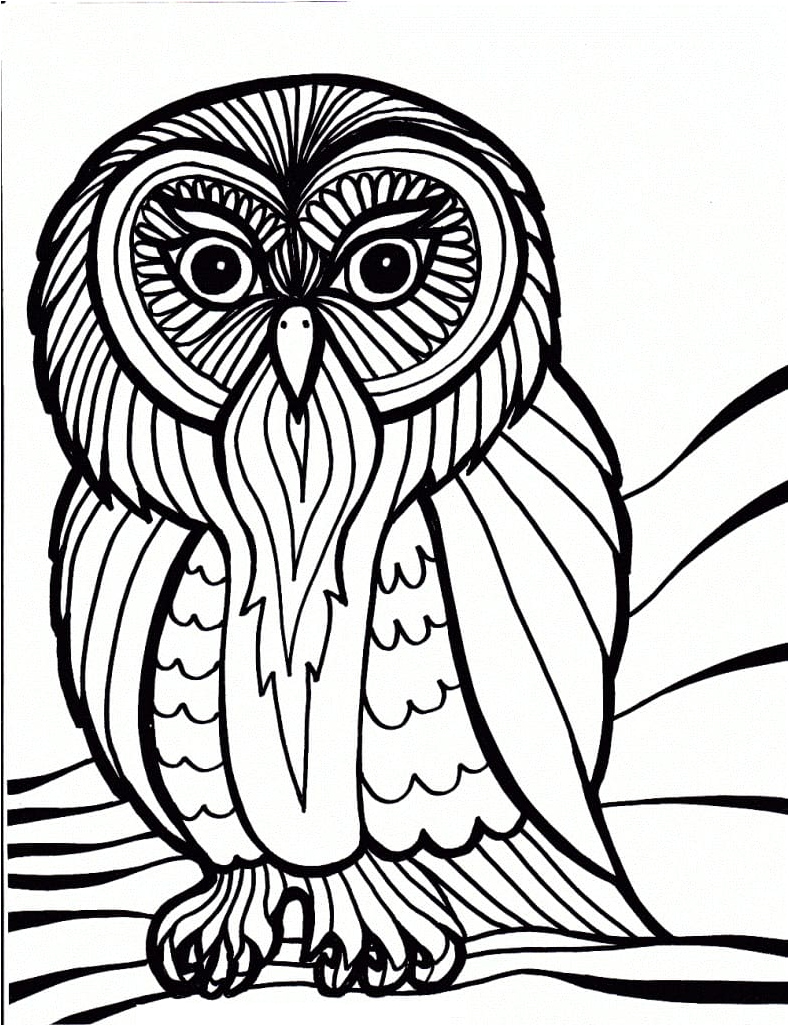 Free Owl Coloring Page Coloring Page
