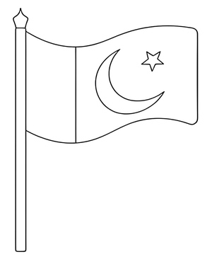 Pakistan's Flag