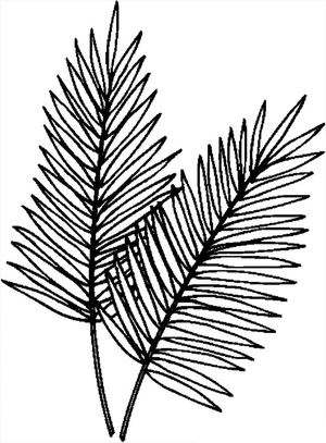 Palm Leaf on Palm Sunday Coloring Page