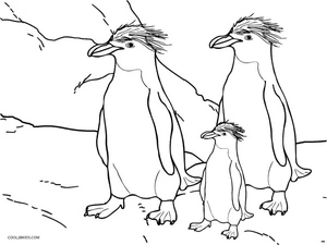 Image of Three Penguins Coloring Page