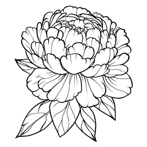 Image of a Peony Flower Coloring Page