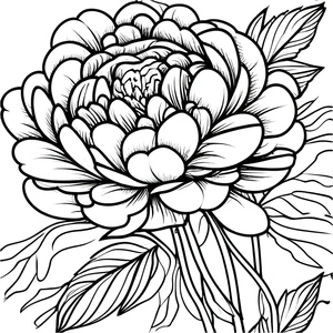 Printable Free Peony Flower Coloring Page Coloring Page