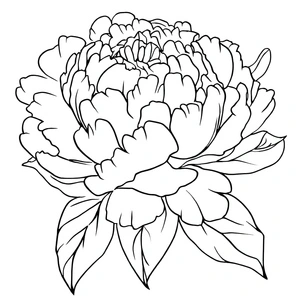 Printable Peony Flower Coloring Page Coloring Page