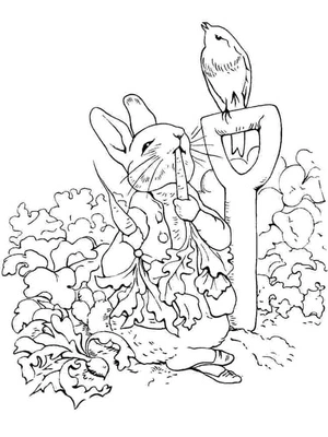 Peter Rabbit Coloring Page Coloring Page
