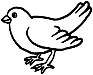 Adorable Small Dove Coloring Page