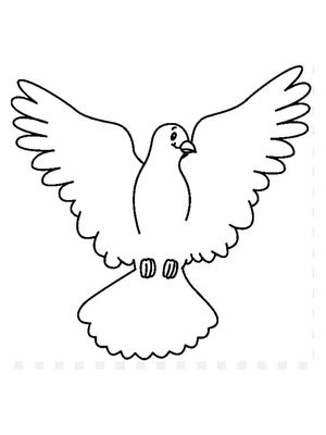 Dove Cartoon Coloring Page