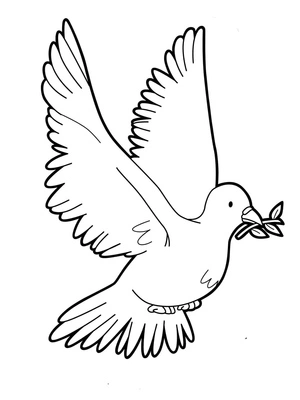 Dove Common Coloring Page