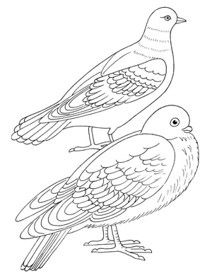 Pair of Doves