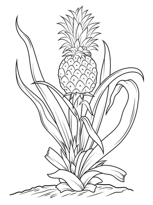 Pineapple