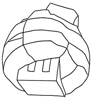 Pokemon Nacli