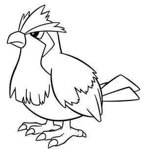 Pokemon Pidgey