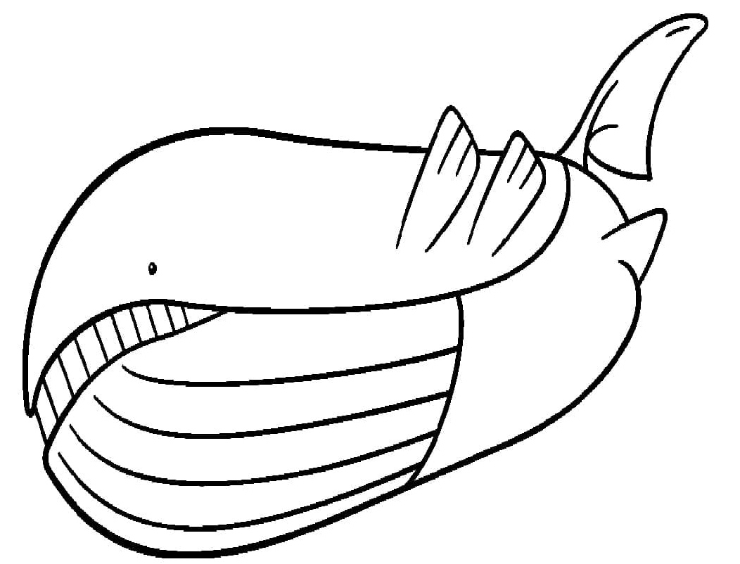 Pokemon Wailord Coloring Page