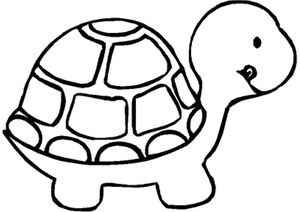 Preschool Turtle