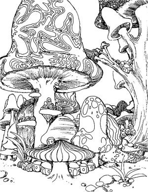 Free Psychedelic Mushrooms
