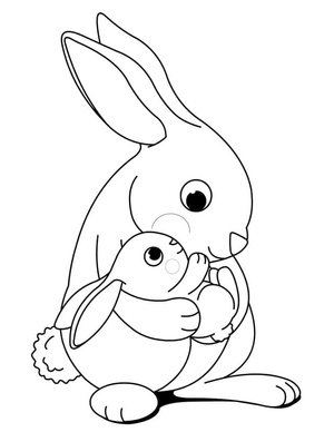 Rabbit