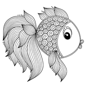 Rainbow Fish