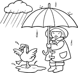 Playful Duck Splashing in a Puddle